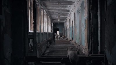 chien l'archipel des âmes en peine