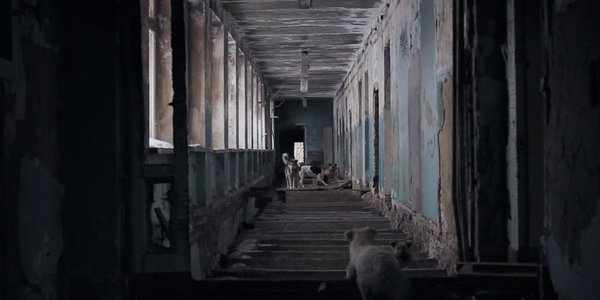 chien l'archipel des âmes en peine