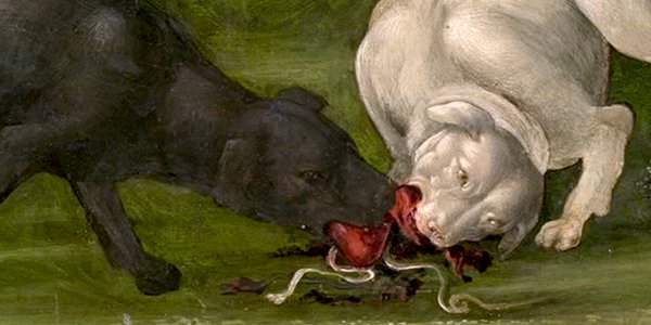 chiens dévorant la chasse cover reconstitution