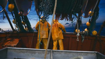 cirée jaune sur le rebord du monde