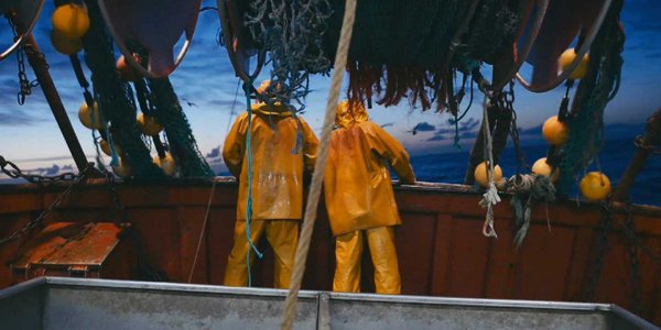 cirée jaune sur le rebord du monde