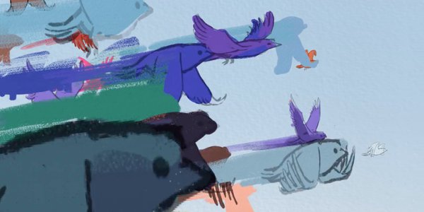 comme. une plume vol d'oiseaux