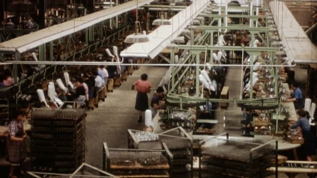 conserveries de poissons - mise en boite - gabarit