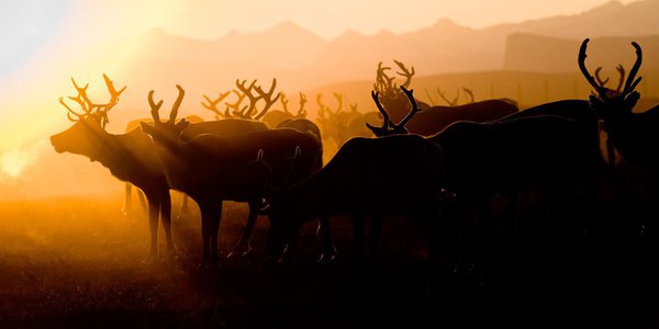 coucher de soleil Laponie jon face aux vents