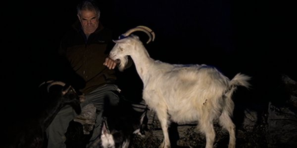 cover chevre L'Ultimu Sognu