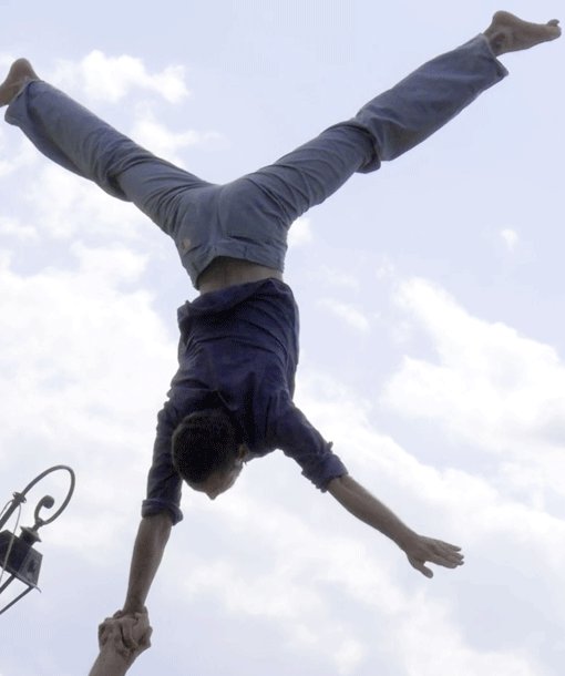 cirque-ou-presque cover