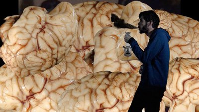 how come kaviar special damien stein