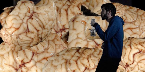 how come kaviar special damien stein