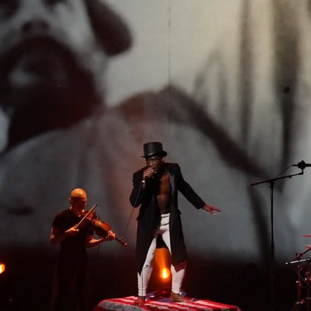 cover Napoleon Maddox