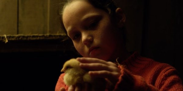 cover danse poussin Clémence Dirmeikis