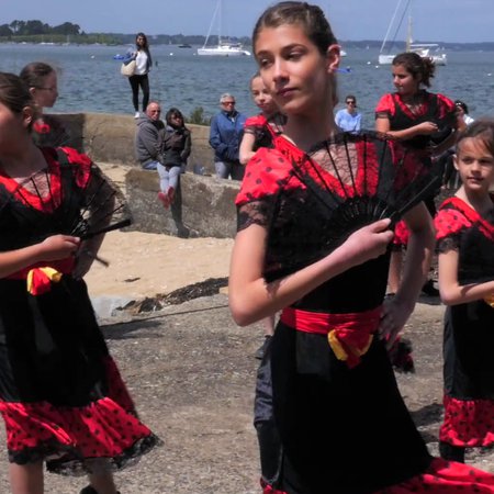 danseuses flamenco Walk on the wild side.png