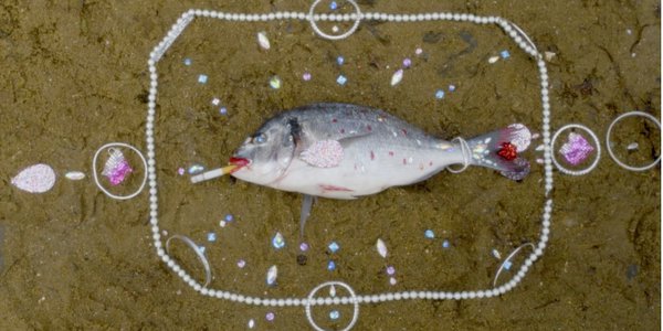 dirty old mat - comptoir - Damien Stein