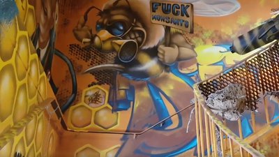 escalier DéDalE abeille