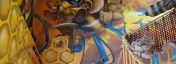 escalier DéDalE abeille