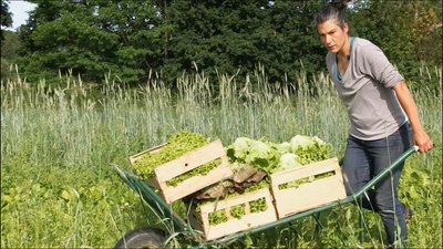 femme qui transporte des salades - mon panier