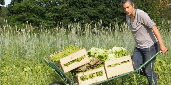 femme qui transporte des salades - mon panier