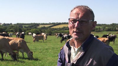 fermier entouré de ses vaches