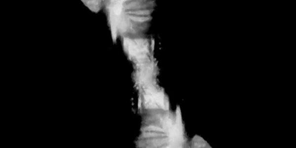 Header Sexual méditation KuB