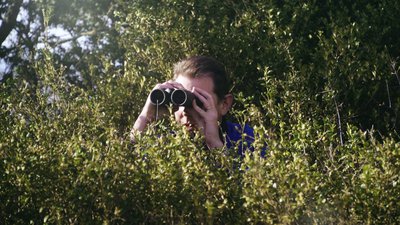 Homme avec des jumelles dans le buisson - L'image qu'on s'en fait
