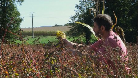 homme qui récolte des céréales - mon panier