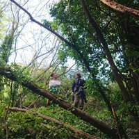 jim et martin decoherences