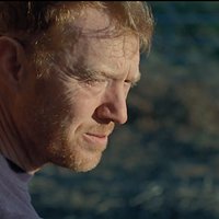 soleil Kris Hitchen dans Sorry we missed you soleil