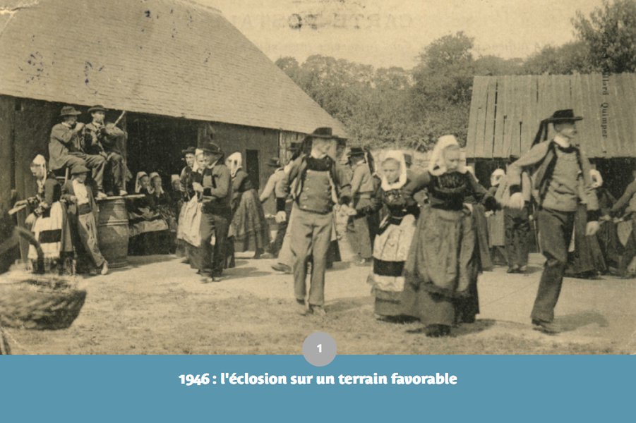 l'éclosion sur un terrain favorable - Sonerion webdoc