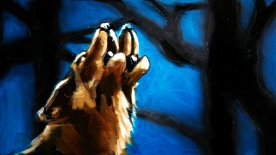 loups qui hurlent à la mort - Lupus