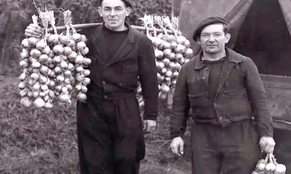 lourdes tresses sur epaules johnnies