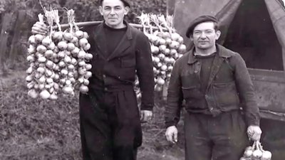 lourdes tresses sur epaules johnnies