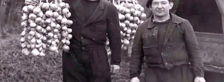 lourdes tresses sur epaules johnnies