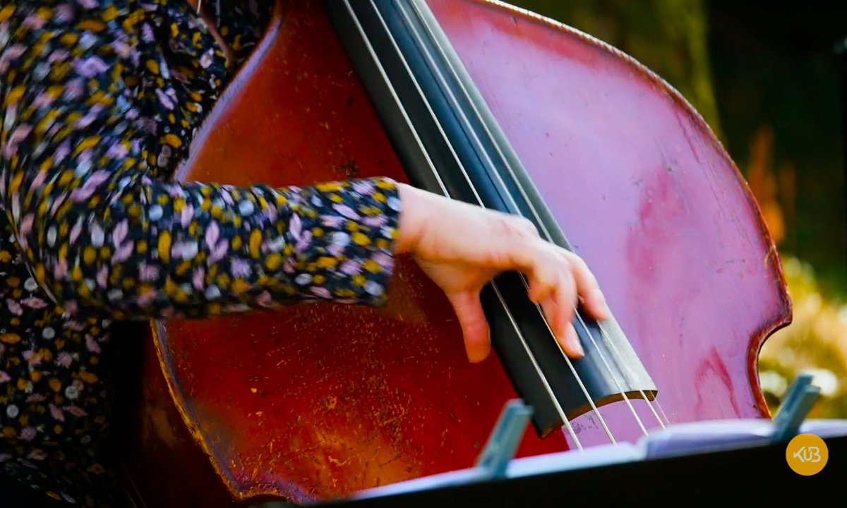 main Hélène Labarrière sur contrebasse