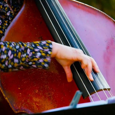 main Hélène Labarrière sur contrebasse