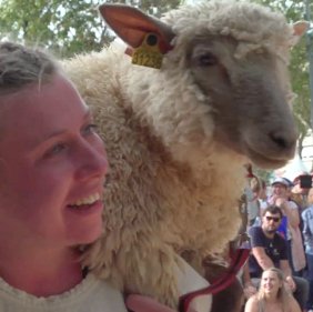 Maout - Gouren gabarit