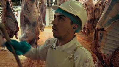 Marquage des viandes - Avec le sang des hommes