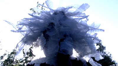 nébuleuse femme coiffée 2