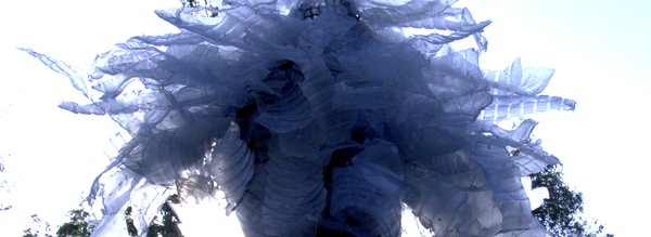 nébuleuse femme coiffée 2