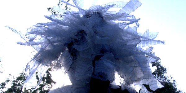 nébuleuse femme coiffée 2