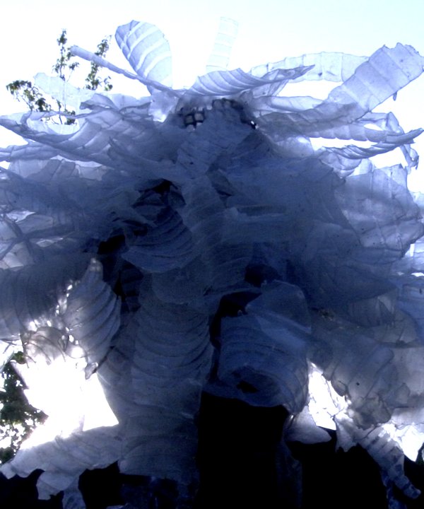 nébuleuse femme coiffée 2