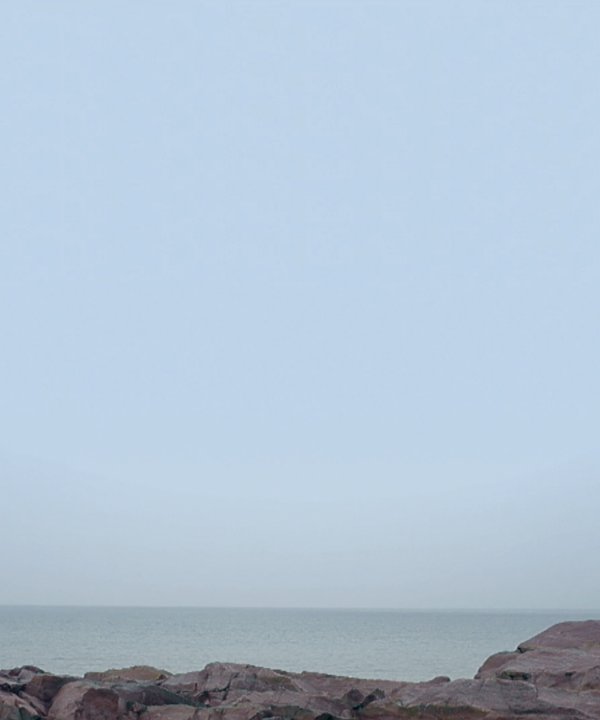 nous bizarre combat ordinaire.png