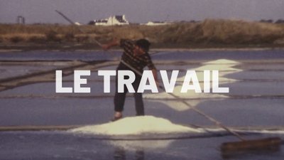 oeuvres sur le travail cover