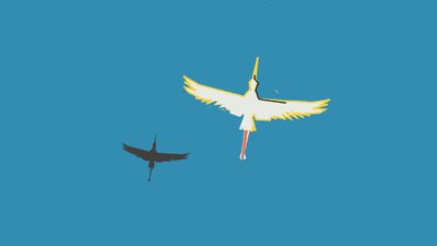 oiseau et son ombre, clip Compétition