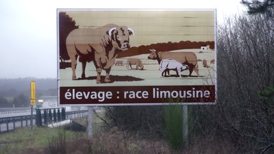 panneau vache limousin image quon sen fait cover