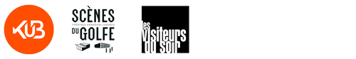 partenaires sdg vds angélique kidjo logo