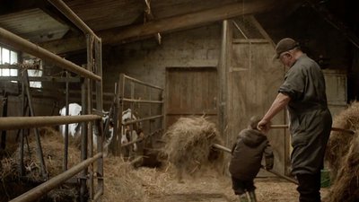 distribution foin avec papi