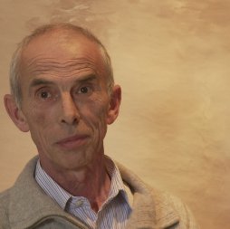 Pierre Bergounioux - Vies métalliques