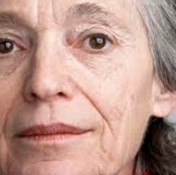 Lynne Cohen portrait