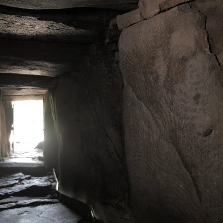 préhistoire cover tal coat guillevic