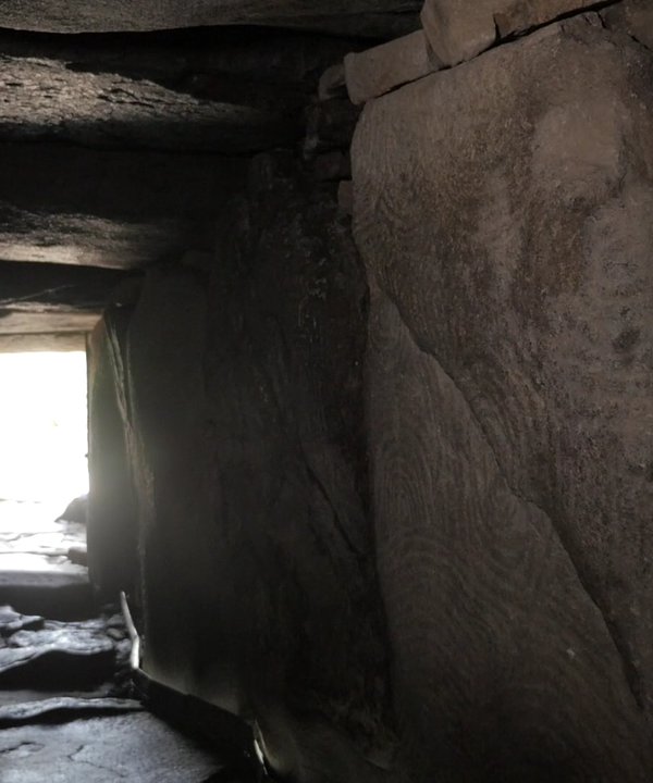 préhistoire cover tal coat guillevic