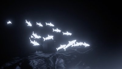requin lumineux